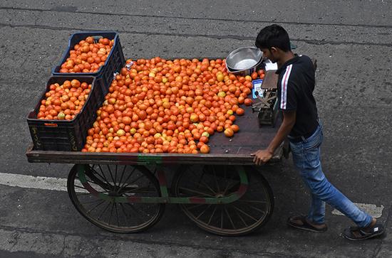 印度各地上演真人版“偷菜”！