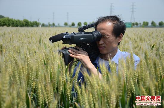 2014年5月,高思杰采访阜阳太和夏收。戴文学摄