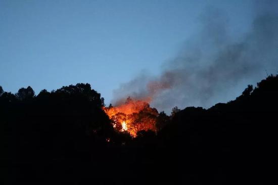 2019年3月27日,四川凉山,正在燃烧的树冠火。图 / 视觉中国