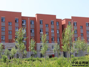 “一个不能少，你我同路行”通榆人用真情书写最美脱贫故事