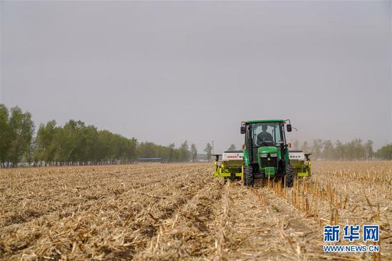 5月7日,在吉林省四平市梨树县,农民驾驶免耕播种机播种玉米。新华社记者 张楠 摄