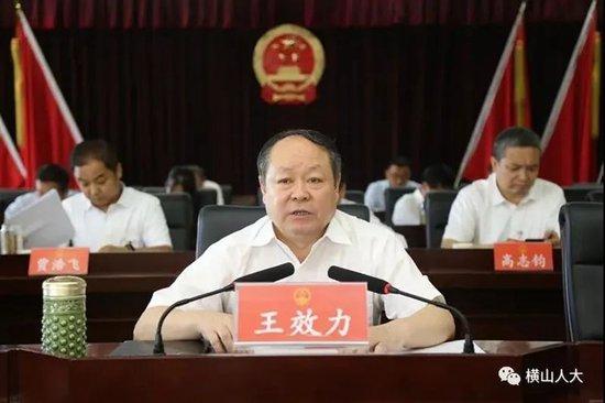 王效力被查,曾陷被亿万富翁殴打事件