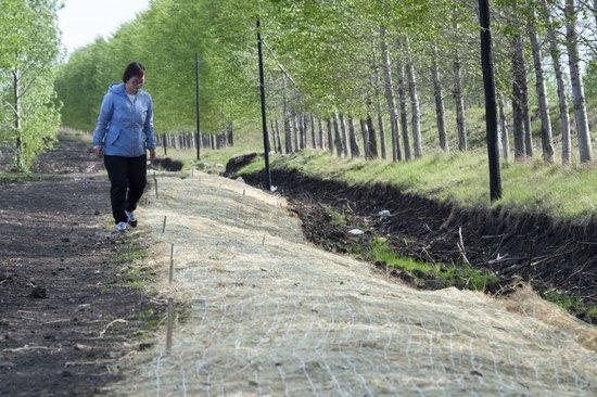 镜观·回响|像保护大熊猫一样保护黑土地