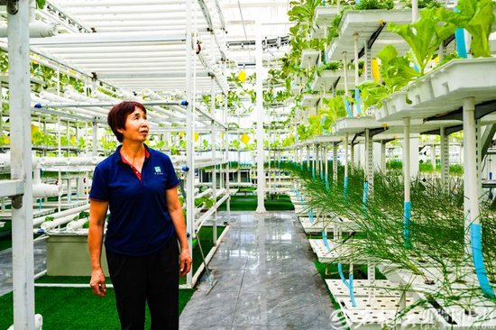 天山北望：发展新潮，动能澎湃正当时