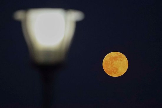 抬头看！2026年首个“超级月亮”现身夜空