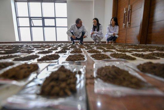 镜观·回响|像保护大熊猫一样保护黑土地
