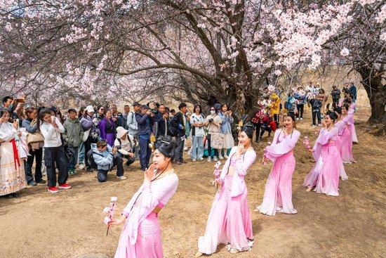 镜观·回响|擦亮兴边富民的“桃花村”品牌