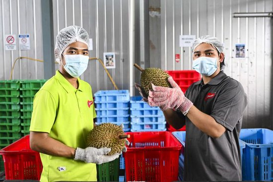 以中国式现代化新成就为亚太和世界提供新机遇——习近平主席重要讲话为共建开放型亚太经济指引方向汇聚力量