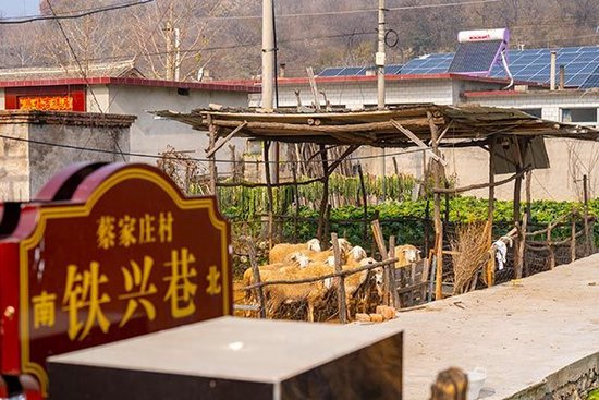 微观京津冀协同发展:公益“慢火车”开出幸福路