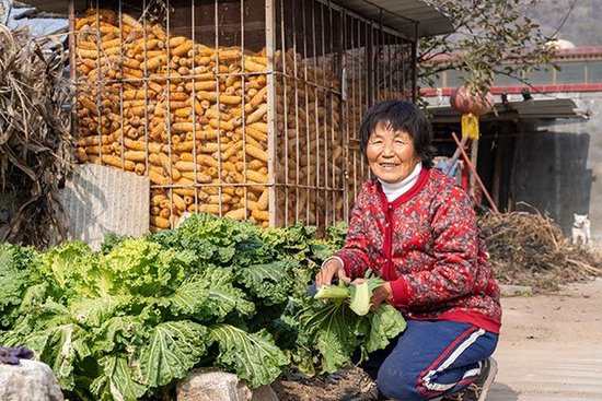 微观京津冀协同发展:公益“慢火车”开出幸福路