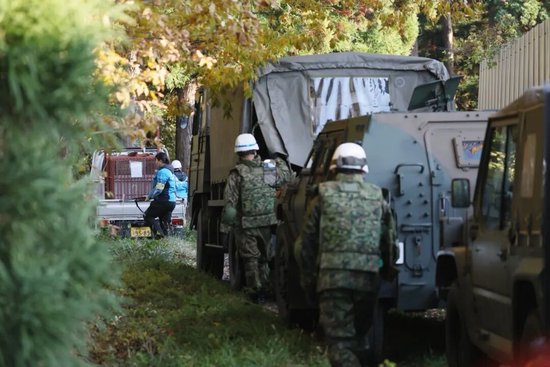 日本“熊灾”有多严重?连自卫队都出动打熊了!