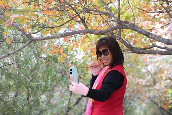 层林尽染引客来～“红叶经济”红透浅山富了乡邻