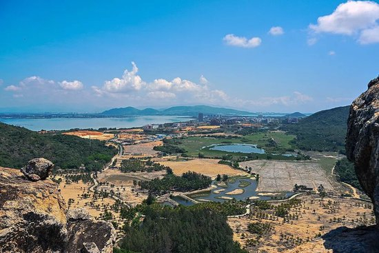 这个省,“疯狂”引进985名校