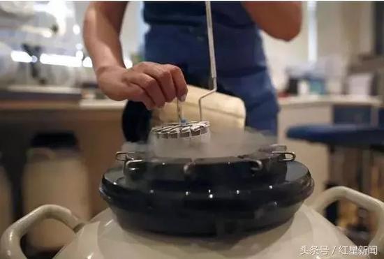▲测试冷冻卵子用的设备 图自华盛顿邮报