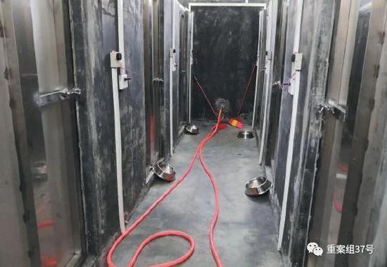 广西陆生野生动物救护中心为穿山甲新建的屋舍,配备了地暖设施。 新京报记者 王飞翔 摄