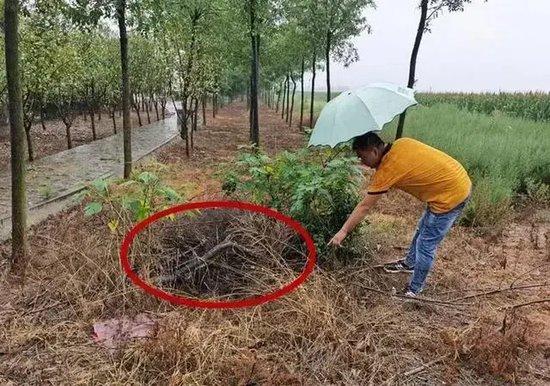 女教师新婚8个月遇害!警方掘坟提取DNA重启调查,疑犯丈夫21年后再受审