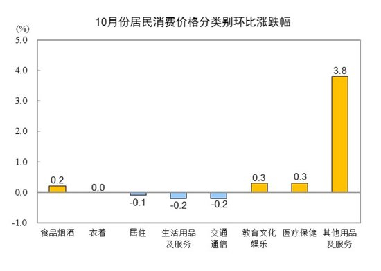 国家统计局：10月份居民消费价格同比上涨0.2%