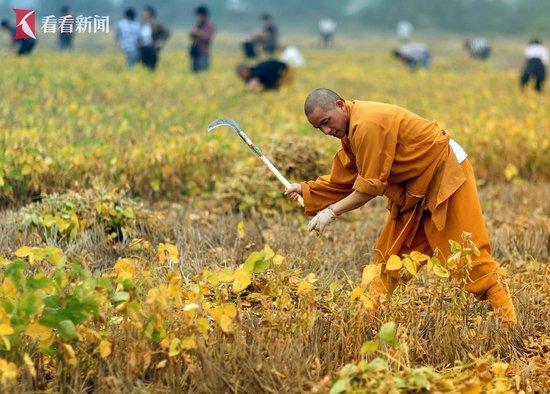 少林功夫要怎么走出“老江湖”?