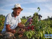 习近平关切高质量发展：翻过“贫困”山 通向“幸福”站