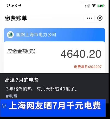 热热热！猪中暑，老鹰飞着飞着，也中暑坠江了！多地网友晒电费，有人一月近5000