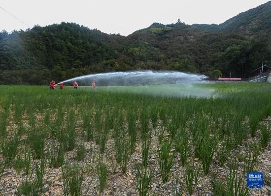 牢牢把住粮食安全主动权——以习近平同志为核心的党中央带领人民干好这件头等大事