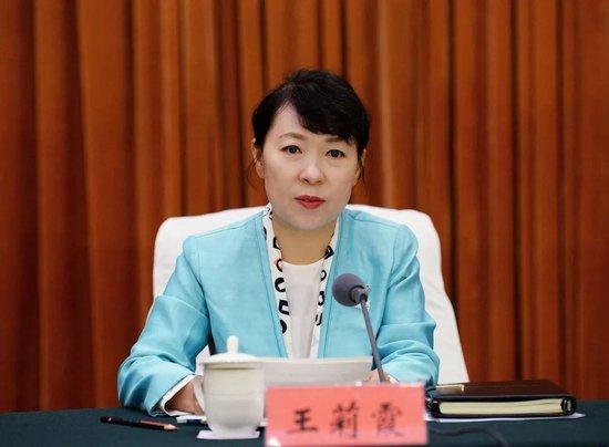 打虎！内蒙古自治区政府主席王莉霞被查