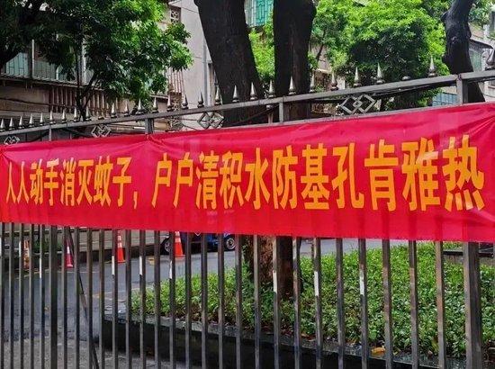 广东佛山，与蚊子缠斗的一个月