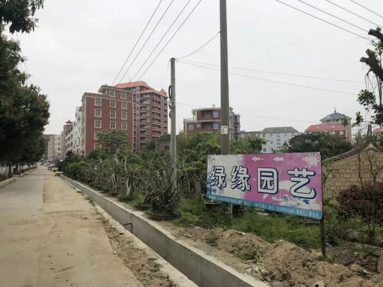 作者图 | 村口望见的“豪宅”