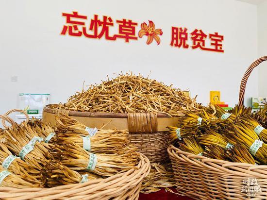 △经过晾晒的干黄花。(总台央视记者王哈男拍摄)