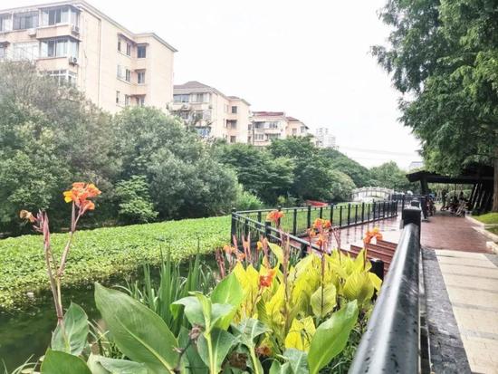 上海这些颇具特色的口袋公园，有你家附近的吗？