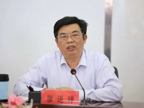 廖进球,严重违纪违法