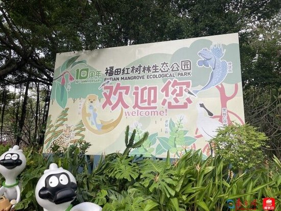 深e度｜观鸟，看见大湾区生态的脉动