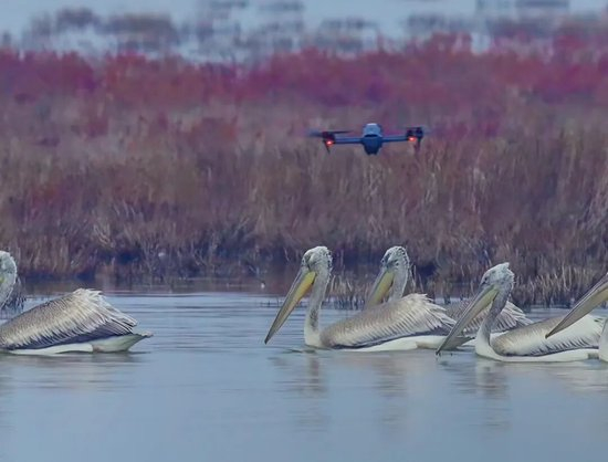 无人机,闯了大祸