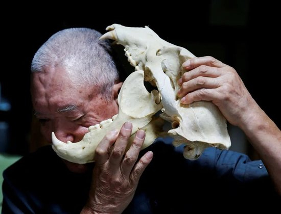 日本“熊灾”有多严重?连自卫队都出动打熊了!