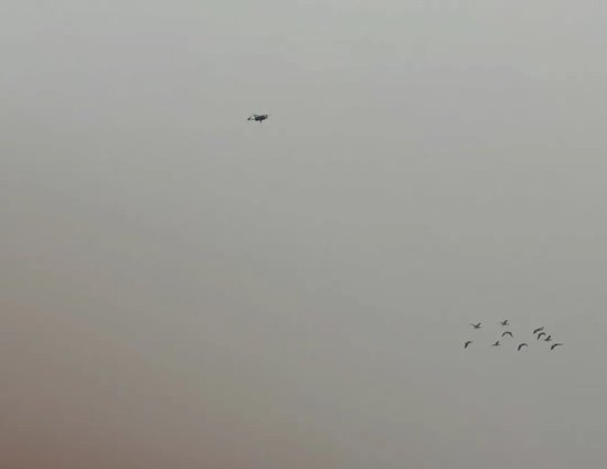 无人机，闯了大祸
