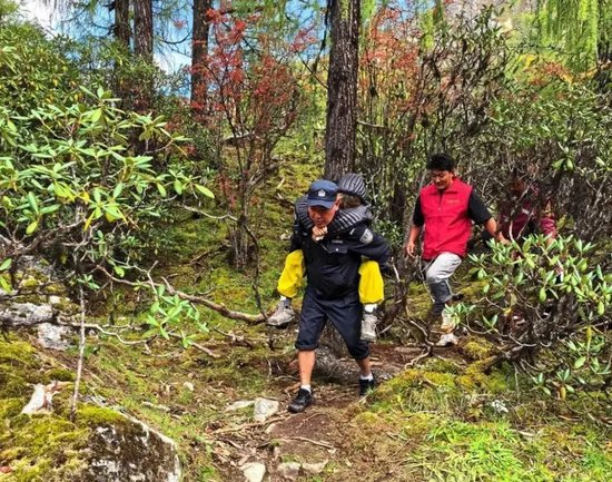 山上人参会跑吗 w700d1q75cms.jpg?by=cms_fixed_width