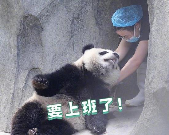 坏消息:明天上班!好消息:再上19天班又放假了!不调休!