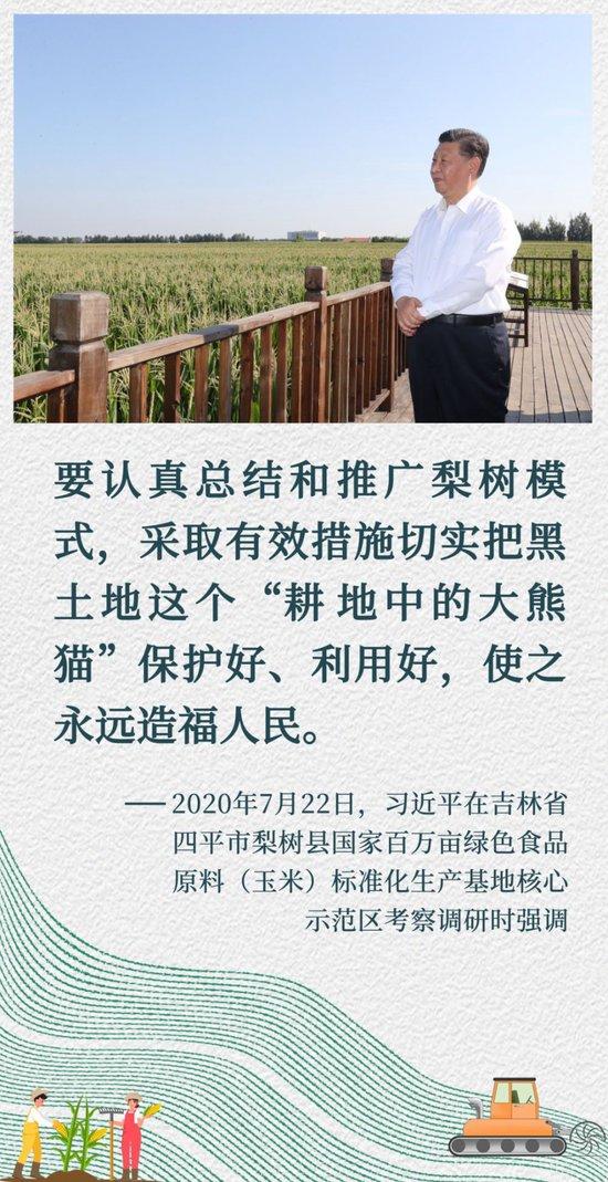 镜观·回响|像保护大熊猫一样保护黑土地
