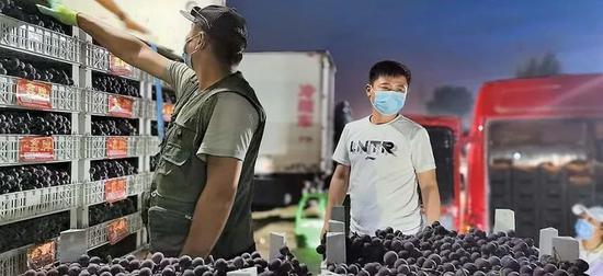 在新发地批发市场临时交易区,经营户正在搬运葡萄。受访者供图