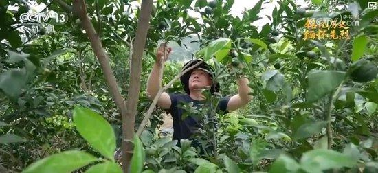 抗日根据地·今昔巨变丨革命老区产业兴旺焕新生 民生不断改善