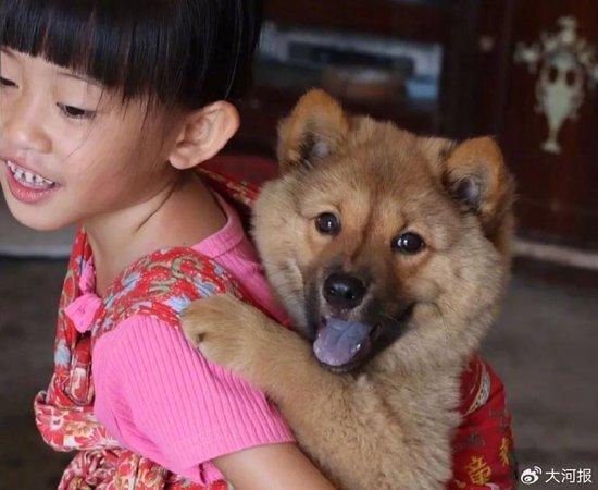 多地对中华田园犬“解禁”
