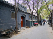 推动老城保护 综合保护文化生态留住京味儿