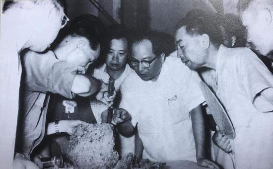 认真勤勉 朱光(右二)、周恩来(右一)、防治白蚁专家李始美(左二)。