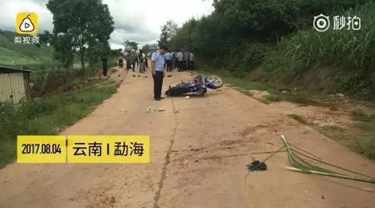 截图自梨视频