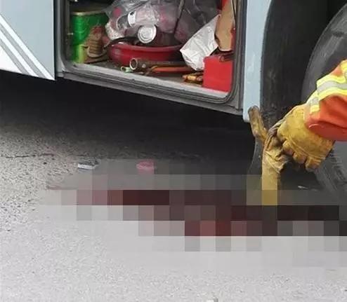 来源:东方网