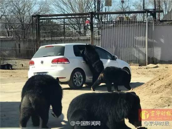 图片来源:京华时报