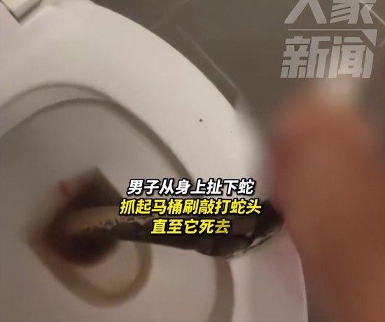 惊悚！男子上厕所被马桶中钻出的蛇咬住下体，徒手抓蛇将其打死