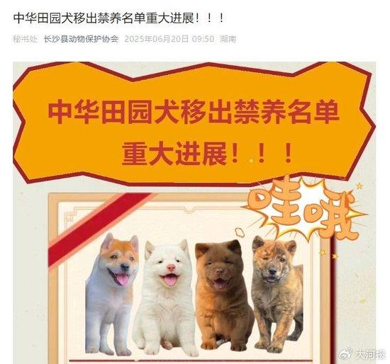多地对中华田园犬“解禁”