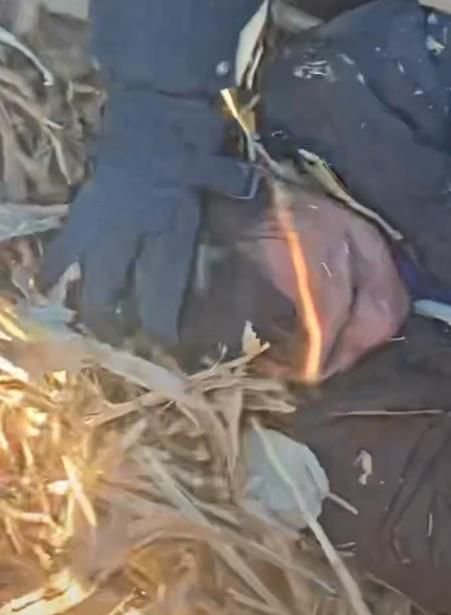 吉林34岁男子2县2天杀2人，报警提供线索村民讲述抓捕经过：他藏在麦秸垛后