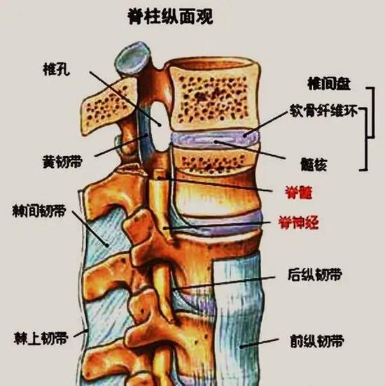 图片来源网络